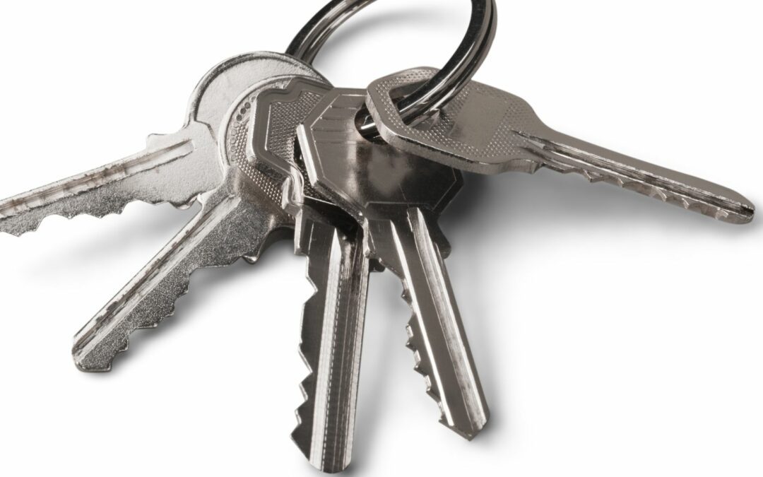 Keys for one of the master key systems in a company